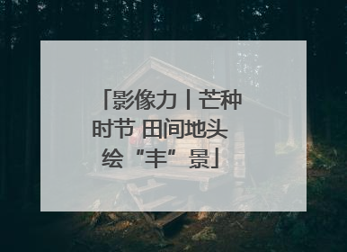 影像力丨芒种时节 田间地头绘“丰”景