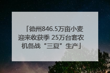 德州846.5万亩小麦迎来收获季 25万台套农机备战“三夏”生产