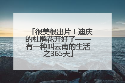 很美很出片！迪庆的杜鹃花开好了——有一种叫云南的生活之365天