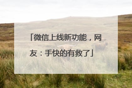 微信上线新功能，网友：手快的有救了