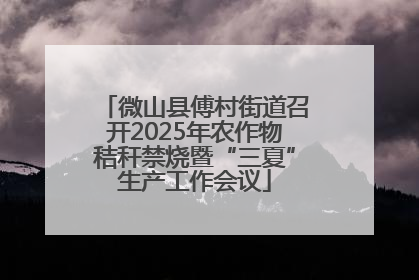 微山县傅村街道召开2025年农作物秸秆禁烧暨“三夏”生产工作会议