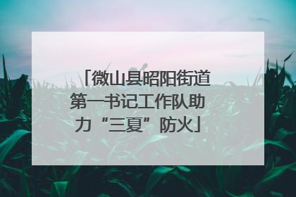 微山县昭阳街道第一书记工作队助力“三夏”防火
