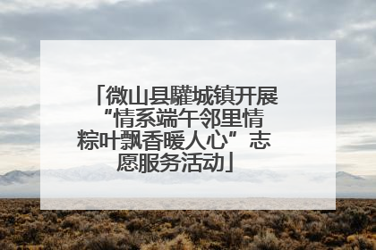 微山县驩城镇开展“情系端午邻里情 粽叶飘香暖人心”志愿服务活动