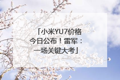 小米YU7价格今日公布！雷军：一场关键大考
