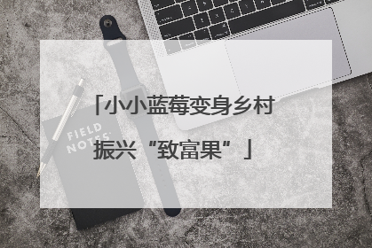 小小蓝莓变身乡村振兴“致富果”