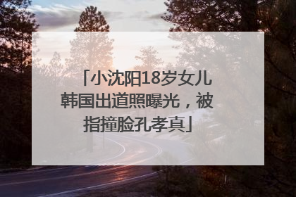小沈阳18岁女儿韩国出道照曝光，被指撞脸孔孝真