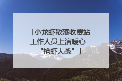 小龙虾散落收费站 工作人员上演暖心“抢虾大战”