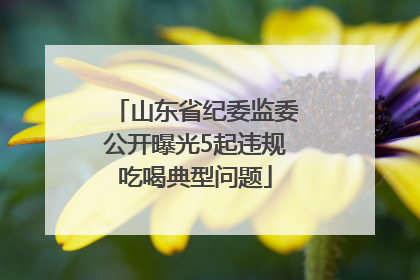 山东省纪委监委公开曝光5起违规吃喝典型问题