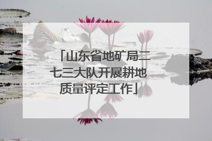 山东省地矿局二七三大队开展耕地质量评定工作