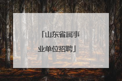 山东省属事业单位招聘