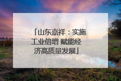 山东嘉祥：实施工业倍增 赋能经济高质量发展