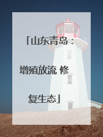 山东青岛：增殖放流 修复生态