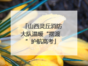 山西灵丘消防大队温暖“摆渡”护航高考