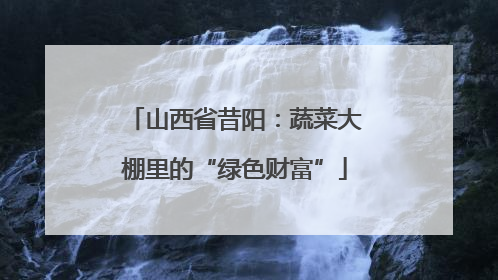 山西省昔阳：蔬菜大棚里的“绿色财富”
