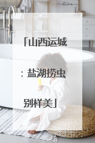 山西运城：盐湖捞虫别样美