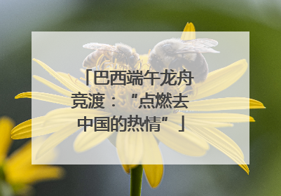 巴西端午龙舟竞渡：“点燃去中国的热情”