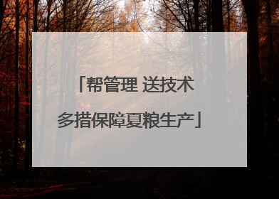 帮管理 送技术 多措保障夏粮生产