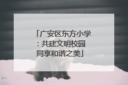 广安区东方小学：共建文明校园 同享和谐之美