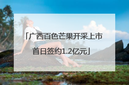 广西百色芒果开采上市 首日签约1.2亿元