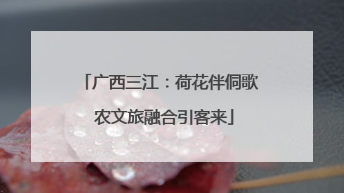 广西三江：荷花伴侗歌 农文旅融合引客来