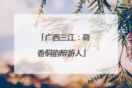 广西三江：荷香侗韵醉游人