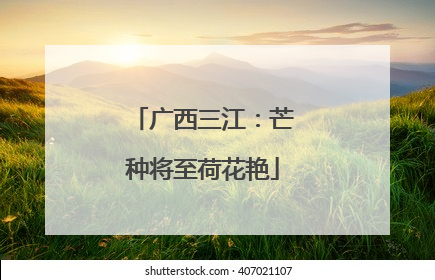 广西三江：芒种将至荷花艳