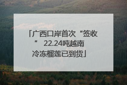 广西口岸首次“签收” 22.24吨越南冷冻榴莲已到货