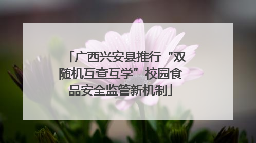 广西兴安县推行“双随机互查互学”校园食品安全监管新机制