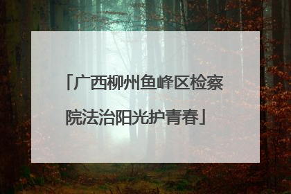 广西柳州鱼峰区检察院法治阳光护青春