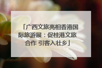广西文旅亮相香港国际旅游展：促桂港文旅合作 引客入壮乡