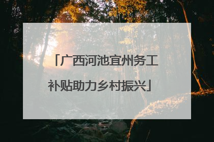 广西河池宜州务工补贴助力乡村振兴