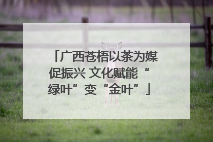 广西苍梧以茶为媒促振兴 文化赋能“绿叶”变“金叶”