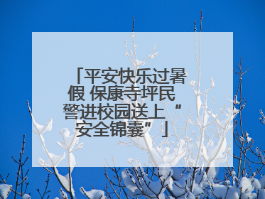 平安快乐过暑假 保康寺坪民警进校园送上“安全锦囊”