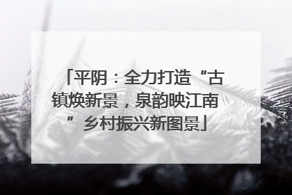 平阴：全力打造“古镇焕新景，泉韵映江南”乡村振兴新图景