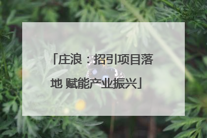 庄浪：招引项目落地 赋能产业振兴