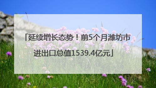 延续增长态势！前5个月潍坊市进出口总值1539.4亿元