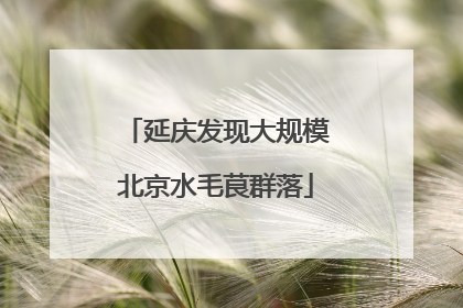 延庆发现大规模北京水毛茛群落