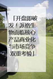 开盘即破发！派格生物面临核心产品商业化与市场竞争双重考验