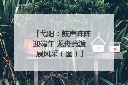 弋阳：鼓声阵阵迎端午 龙舟竞渡展风采（图）