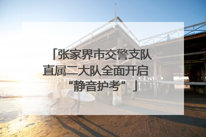 张家界市交警支队直属二大队全面开启“静音护考”
