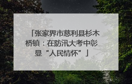 张家界市慈利县杉木桥镇：在防汛大考中彰显“人民情怀”