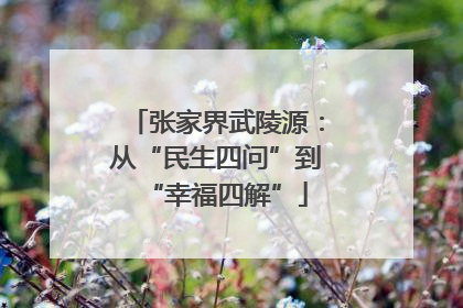 张家界武陵源：从“民生四问”到“幸福四解”