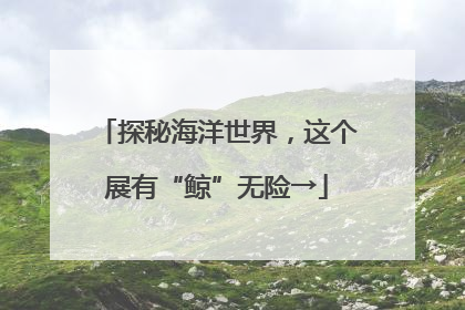 探秘海洋世界，这个展有“鲸”无险→