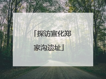 探访宣化郑家沟遗址