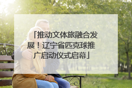 推动文体旅融合发展！辽宁省匹克球推广启动仪式启幕