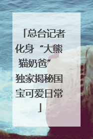 总台记者化身“大熊猫奶爸” 独家揭秘国宝可爱日常