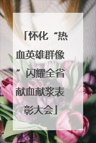 怀化“热血英雄群像”闪耀全省献血献浆表彰大会