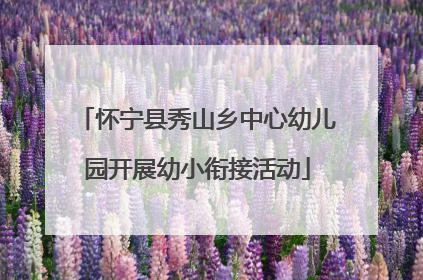 怀宁县秀山乡中心幼儿园开展幼小衔接活动