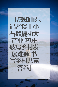 感知山东记者谈丨小石榴撬动大产业 枣庄破局乡村发展难题 书写乡村共富答卷