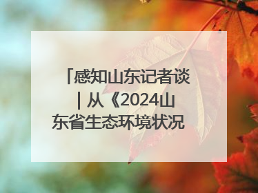 感知山东记者谈｜从《2024山东省生态环境状况公报》看美丽山东建设的“成绩单”与“任务书”